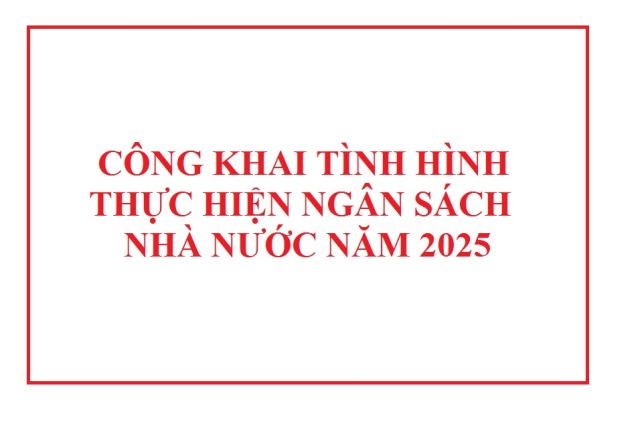 Công khai tình hình thực hiện dự toán ngân sách nhà nước năm 2025