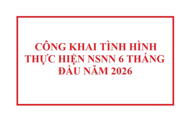 CÔNG KHAI TÌNH HÌNH THỰC HIỆN DỰ TOÁN NSNN 6 THÁNG ĐẦU NĂM